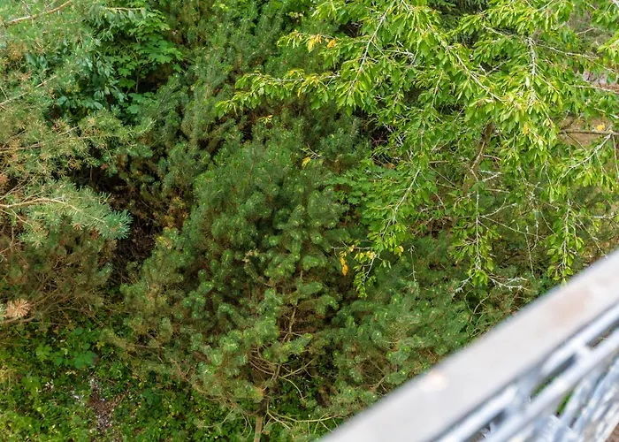 Lesni Pramen * Mariënbad